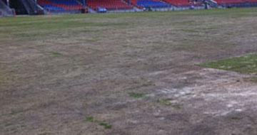 Poor turf at EnergyAustralia Stadium