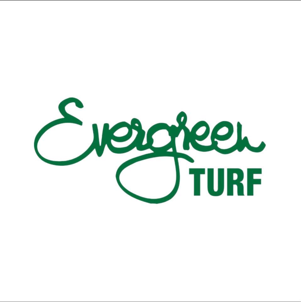 Evergreen Turf