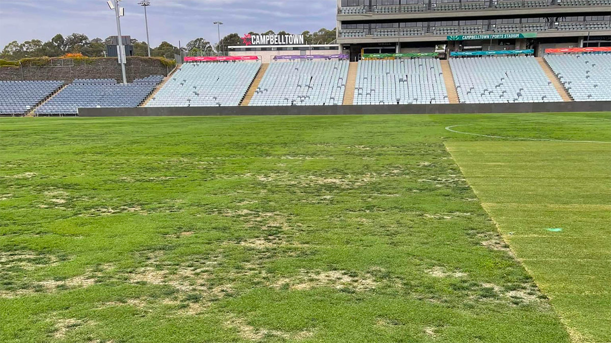 The poor pitch at Campbelltown Stadium on Friday